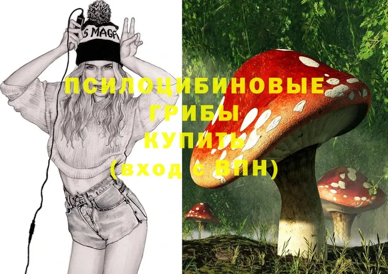 Псилоцибиновые грибы MAGIC MUSHROOMS  darknet официальный сайт  Ермолино  ОМГ ОМГ tor 